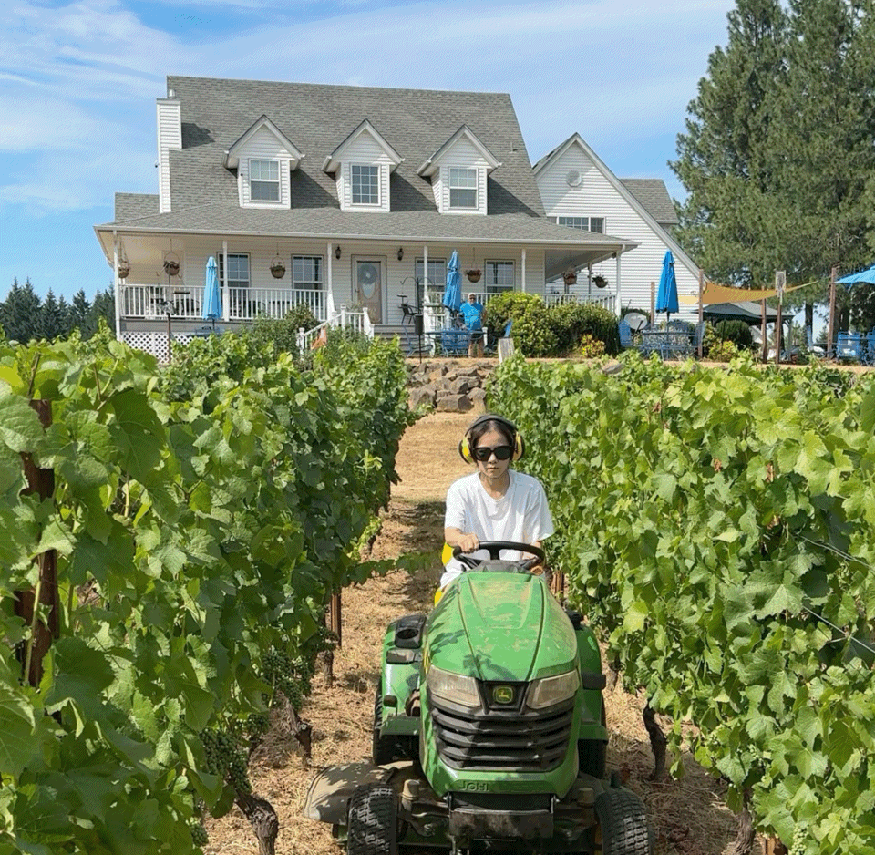 First tractor run for Cleo and no grapes were harmed