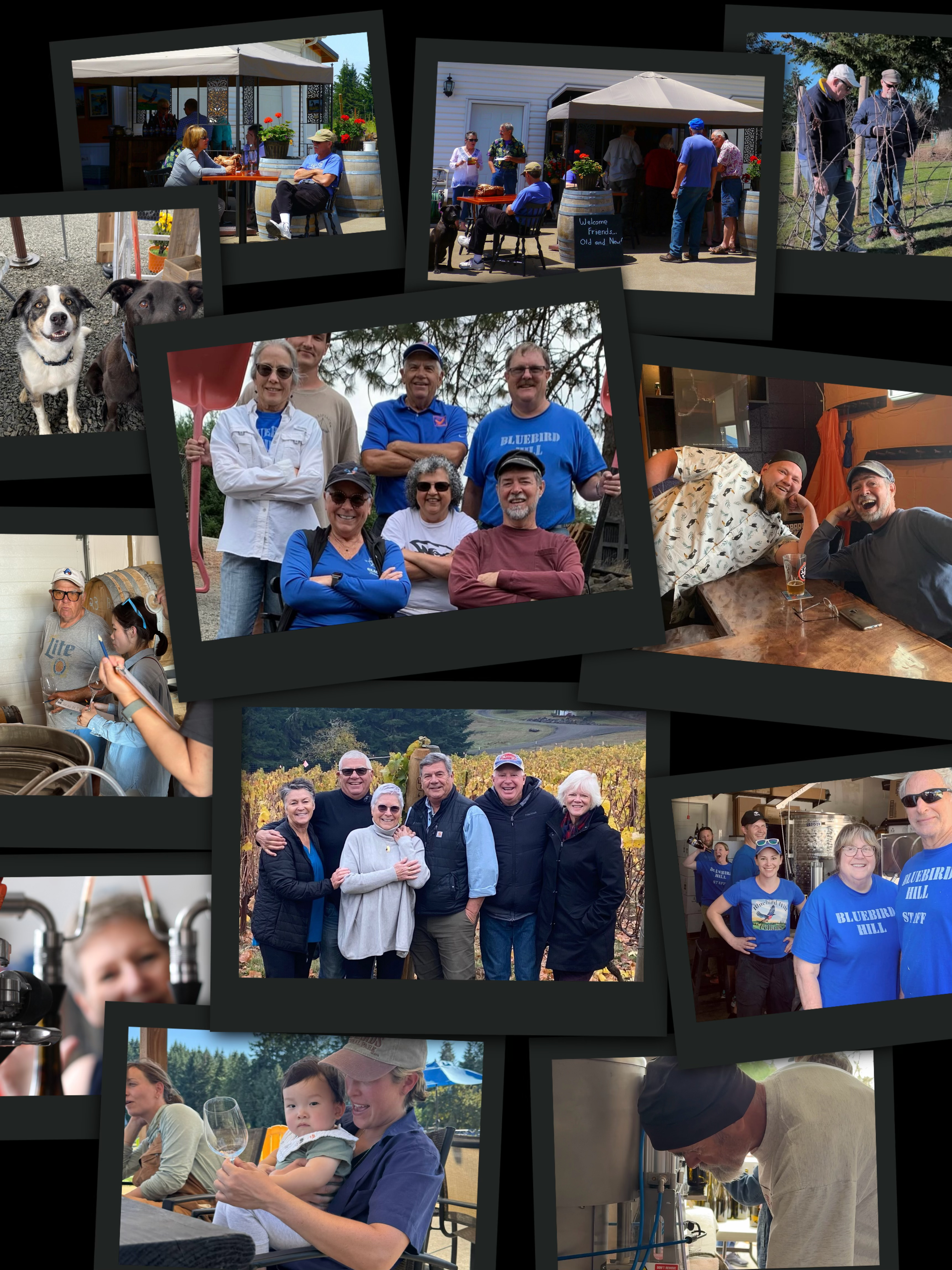 And of course, to all our friends and customers — thank you for bringing your laughter, stories, and smiles to Bluebird Hill. Whether you’ve joined us for a tasting, pitched in at harvest, or simply shared a glass with friends here, you’ve become part of our extended family.