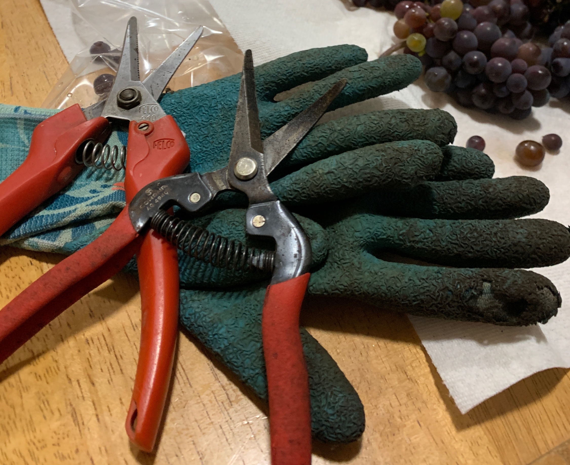 Bluebird Hill Chardonnay